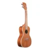 KALA KA CG UKULELE CONCIERTO - Imagen 2