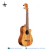 CORDOBA GUCLCOR‑04126 35T‑CE TENOR UKULELE AC/AC W/C