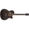 WASHBURN DFEACE-U GUITARRA ELECTROACÚSTICA DEEP FOREST EBONY ACE - Imagen 2