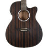 WASHBURN DFEACE-U GUITARRA ELECTROACÚSTICA DEEP FOREST EBONY ACE - Imagen 3