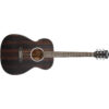 WASHBURN DFEFE-U GUITARRA ELECTROACÚSTICA DEEP FOREST EBONY FE - Imagen 2