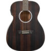 WASHBURN DFEFE-U GUITARRA ELECTROACÚSTICA DEEP FOREST EBONY FE - Imagen 3