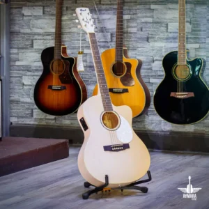CORT JADE CLASSIC PPOP LIQUIDACIÓN
