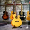IBANEZ AEL10E NT LIQUIDACIÓN
