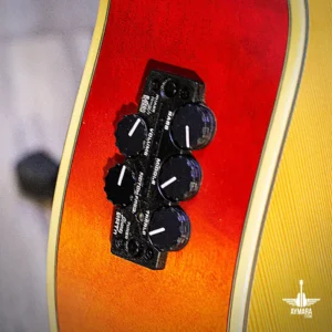 Alternative view of IBANEZ AEL10E NT LIQUIDACIÓN