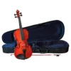 CERVINI HV-150 4/4 VIOLIN