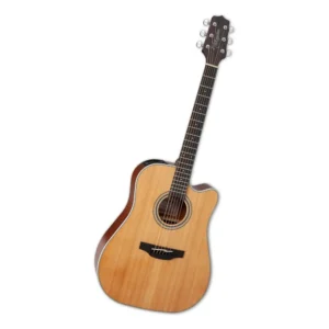 TAKAMINE GD20CENS NT GUITARRA E/A METAL CW